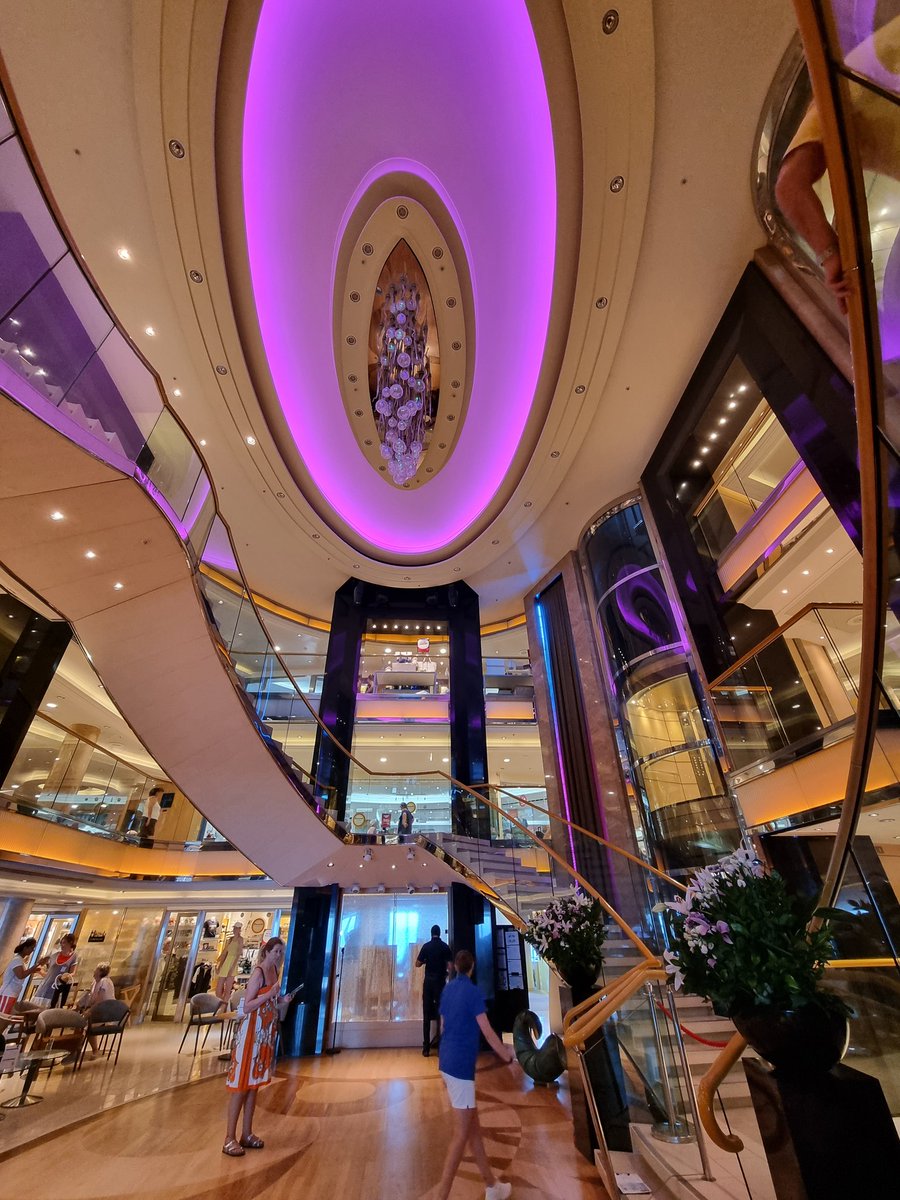 The Atrium is always the 'hub' of a cruise ship... what ship has your favourite Atrium? 🚢
#Cruise #Cruising #Atrium
