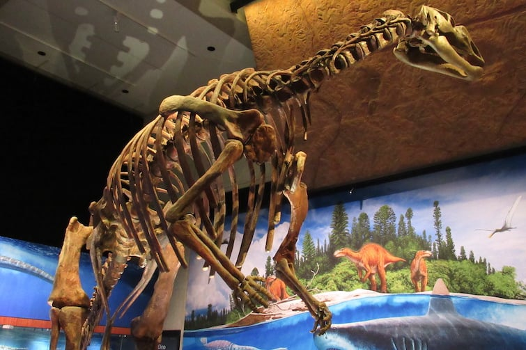 Dinosaurs Unearthed at Queensland Museum, weekend adventure inspiration for families, local events this week + more - mailchi.mp/brisbanekids/d…