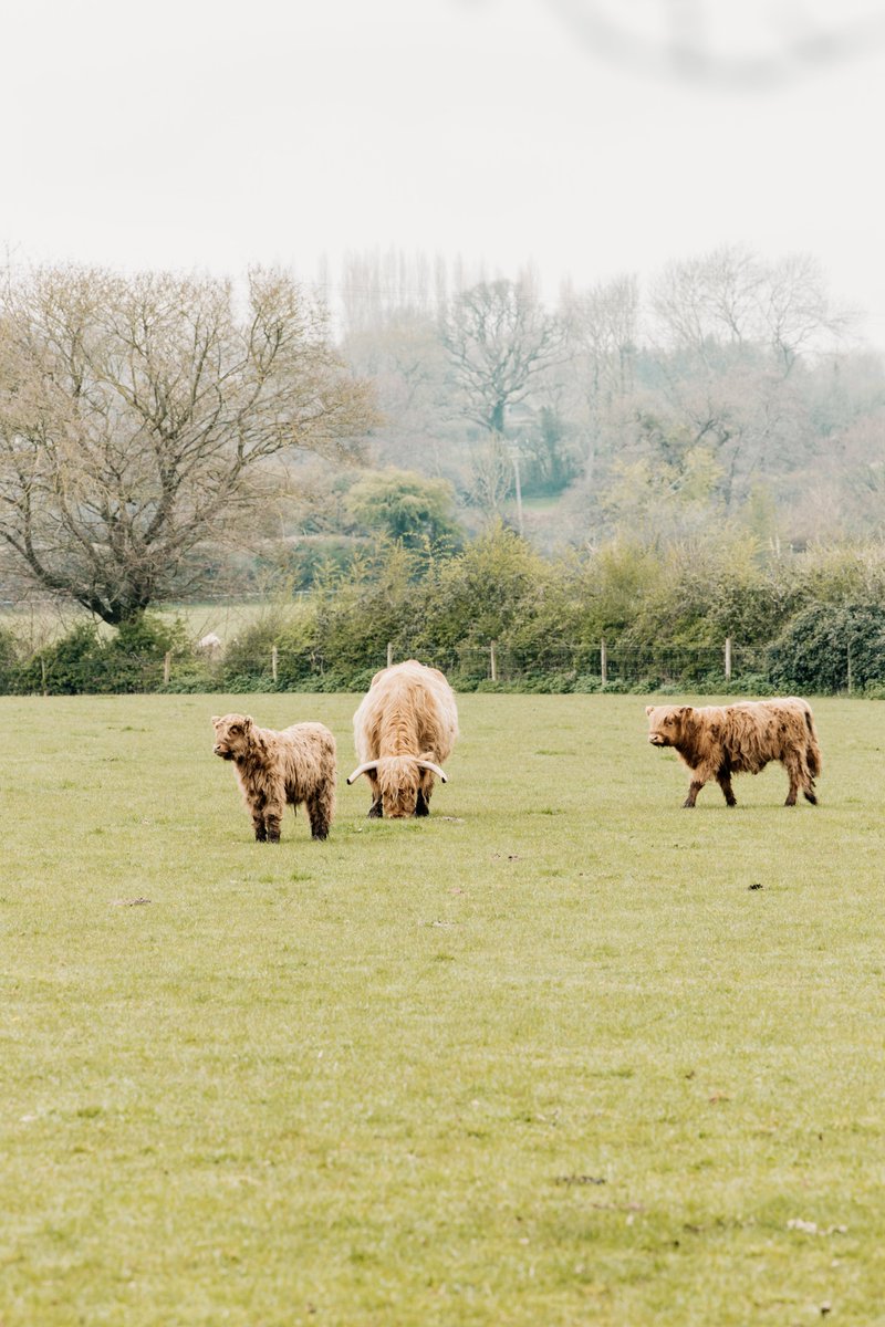 Unique hideaways tweet media