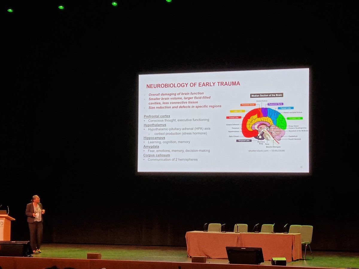 Brenda Harden puhuu #WAIMH2023'ssa lapsuudenaikaisen trauman vaikutuksesta aivoihin ja miten tärkeää on ymmärtää trauman vaikutus lapsen kehitykseen ja koko elämään. Herätys Suomen #hallitus,  aika muuttaa suuntaa nopeasti #pidäkiinni @Ensi_turvakodit