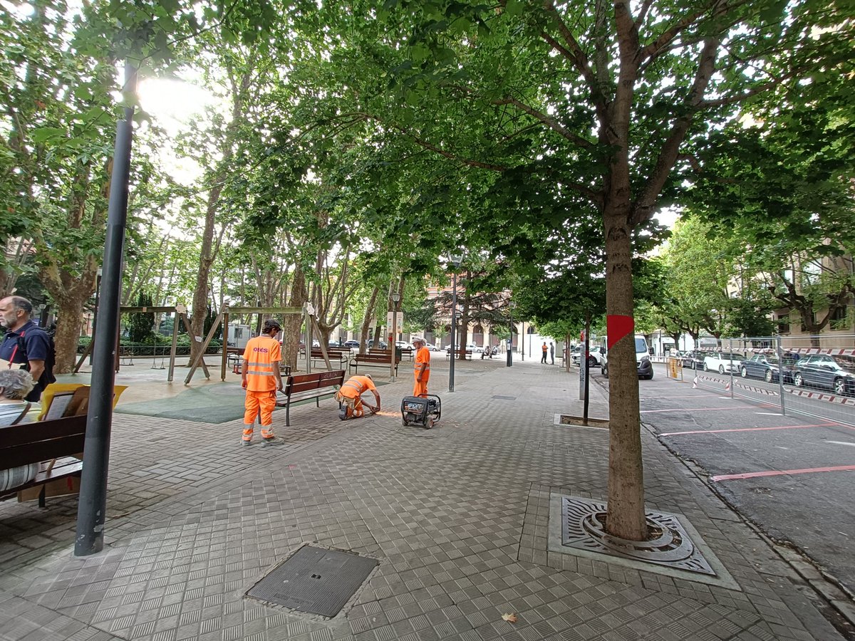 DavidGalbete's tweet photo. El @Pamplona_ayto (UPN-PP) va a cargarse todos estos árboles centenarios en el centro de Pamplona (Plaza de la Cruz) para construir un parking. Fuera arboles, dentro coches. Toda la oposición y vecinos están en contra. Mañana hay concentración a las 12 h frente al Ayto. Acudid. https://t.co/6Ocqj5Ub32