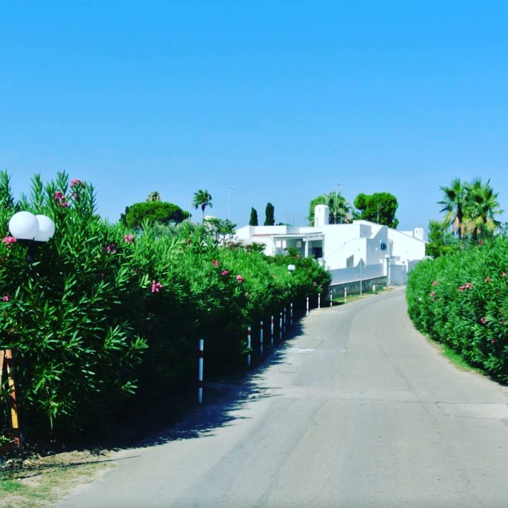 GrimImmobiliare's tweet photo. #Villa #arredata rifinita sita in #complesso #residenziale custodito "#Rosa #Marina" / #Ostuni e composta da 3 #camere da letto (6 posti #letto), 4 #bagni, #soggiorno, #cucina e #patio. Si #affitta #mensilmente, disponibile tutto #agosto e #settembre 🏡🏖
https://t.co/e52mbWAkPZ https://t.co/IIy7XpNKXj
