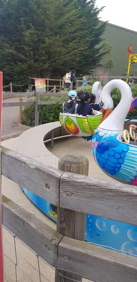LoteTreePrimary's tweet photo. Some more lovely pictures from the Twin Lakes trip 🎢🙌🏽🎉🩵 https://t.co/Wr6B8lL699