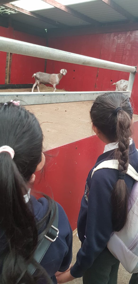 LoteTreePrimary's tweet photo. Some more lovely pictures from the Twin Lakes trip 🎢🙌🏽🎉🩵 https://t.co/Wr6B8lL699
