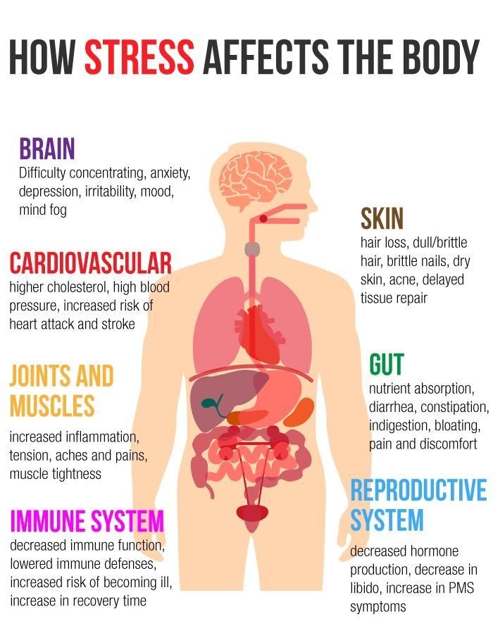 Liminal1988's tweet photo. ↓How STRESS affects the body↓ https://t.co/ByRizPqFlu