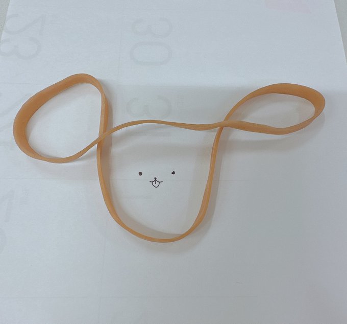 いぬ 