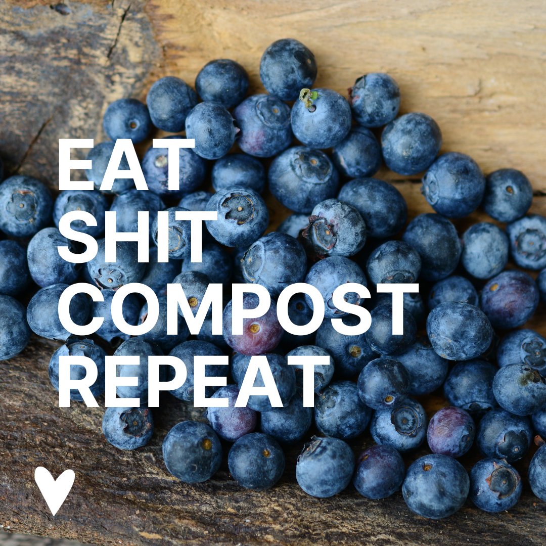 Nährstoffkreislauf ist eigentlich ganz simpel.

Was steht uns im Weg? Unter anderem: die Gewohnheit. Ausscheidungen sind doch was Ekliges und sollen schnell verschwinden. Oder könntest du dir vorstellen, an deine Balkontomaten zu pinkeln?
#kreislaufwirtschaft #komposttoiletten