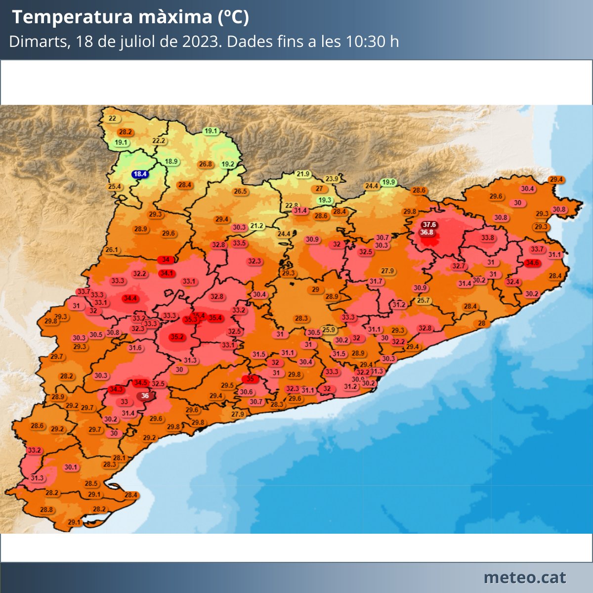 Meteocat tweet media