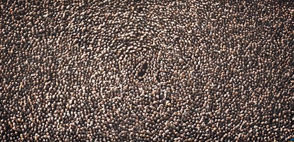 He who can destroy a thing, can control a thing
Dune_II