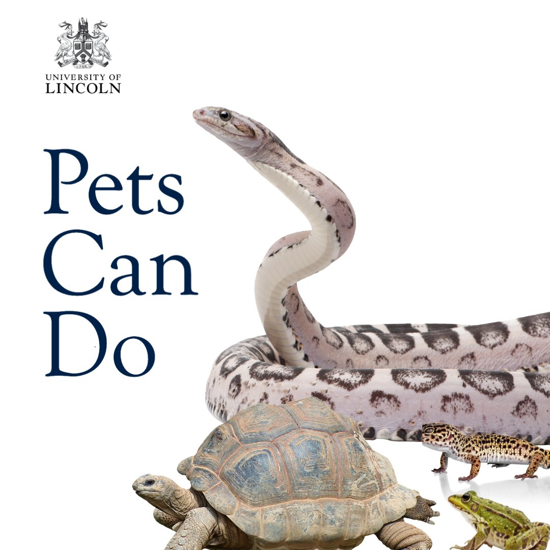 Do you have a pet? If you do, why not get involved with our research here at Lincoln? We are looking for pets to take part in our pioneering and welfare-friendly research into animal behaviour. For more information and to sign up, please visit lncn.ac/petscando
