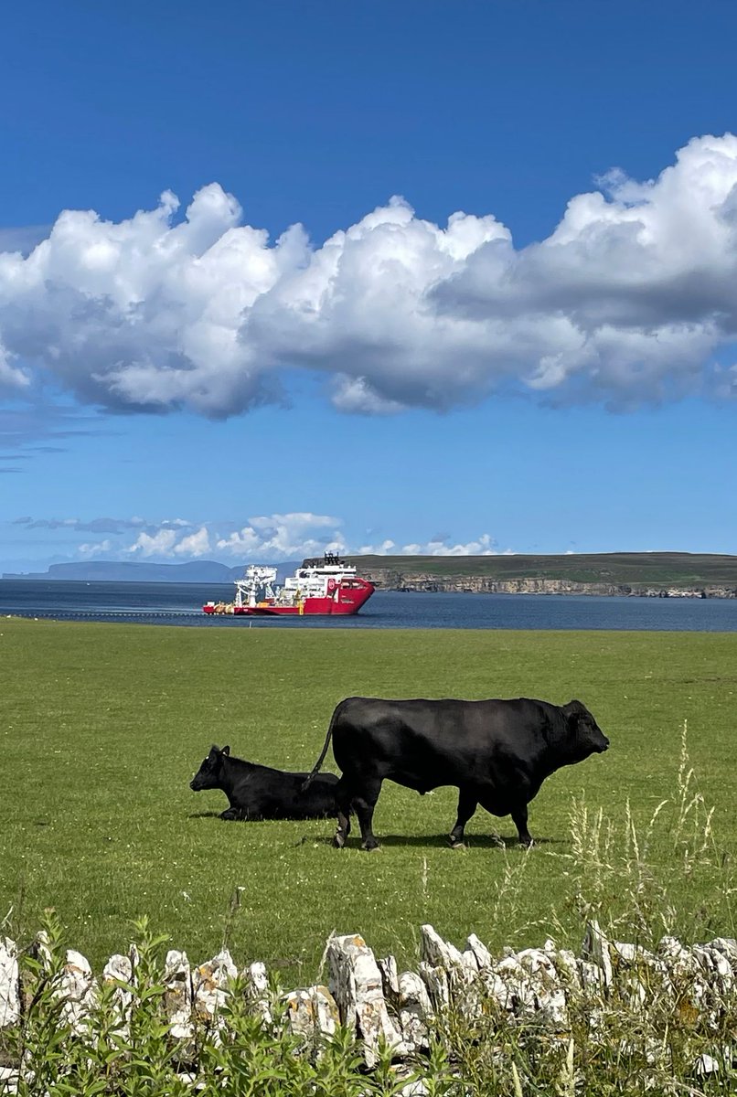jandenulgroup's tweet image. #JDNproject • We are connecting the Orkney Island of Hoy with the Scottish mainland. This 33kV interconnecting cable will provide electricity to the island and is a critical link in the UK's distribution grid.  👀 ⛰️
•
#jandenul