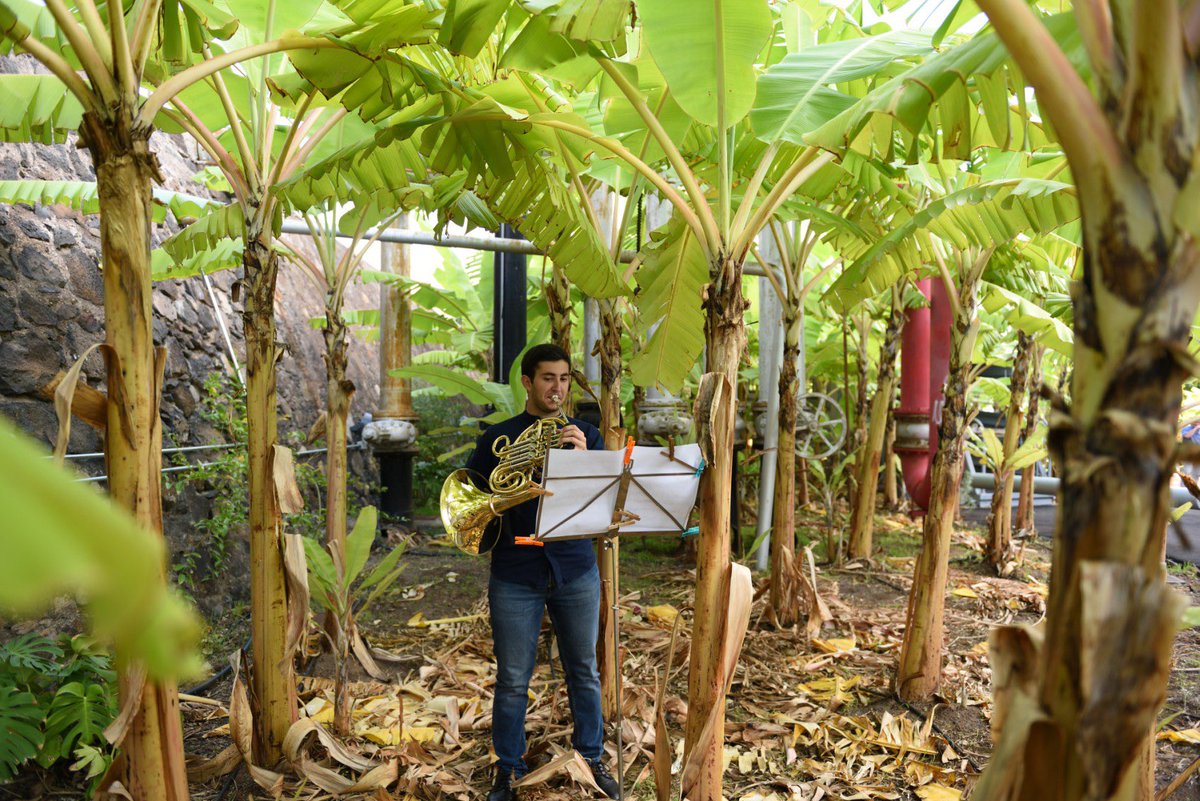 #reuse #reduce #sustainable #green 💥💪🏻🌞🌳 ▶️ W najnowszej <a href="/ArchitekturaMur/">Architektura-murator</a> <a href="/porebska_ewa/">Ewa P. Porębska</a> przedstawia park kieszonkowy #ElTanque na Teneryfie autorstwa <a href="/FernandoMenis/">Fernando Menis</a> , nagrodzony  m.in The European Award Architectural Heritage Intervention (AHI)