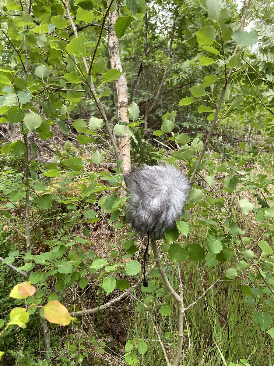 Mikkel Nielsen tweet media