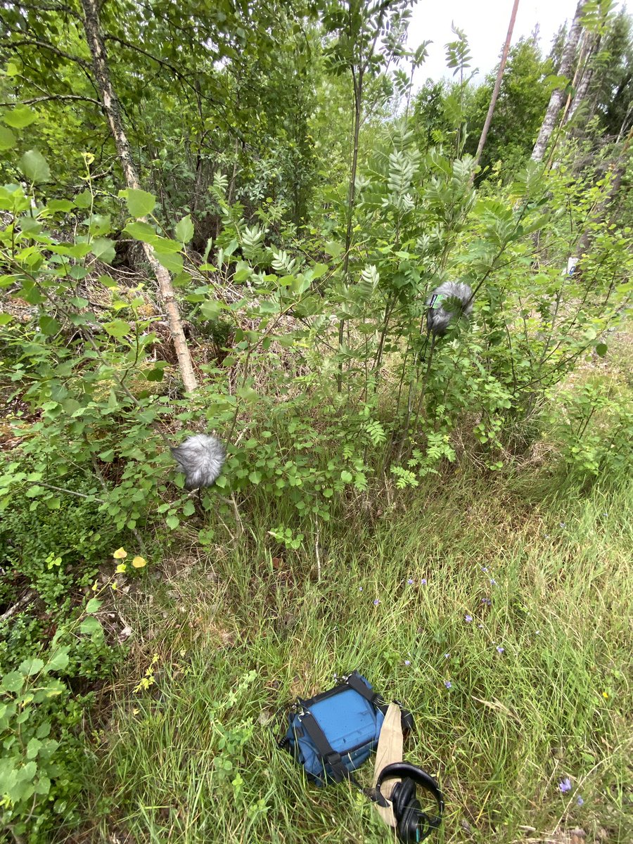 Mikkel Nielsen tweet media