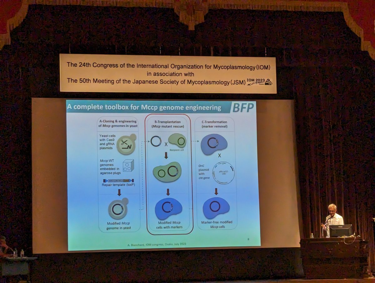 Chih-Horng Kuo (郭志鴻) (@chihhorngkuo) on Twitter photo <a href="/Alain_Blancha/">Alain Blanchard</a> <a href="/Mollicutes_Lab/">Mollicutes-Lab</a> talks about the cool technology of genome cloning and engineering for rational design of #Mycoplasma vaccines. #IOM2023 <a href="/IOM_Osaka/">IOM2023@Osaka</a> <a href="/Alain_Blancha/">Alain Blanchard</a> <a href="/Mollicutes_Lab/">Mollicutes-Lab</a> talks about the cool technology of genome cloning and engineering for rational design of #Mycoplasma vaccines. #IOM2023 <a href="/IOM_Osaka/">IOM2023@Osaka</a>