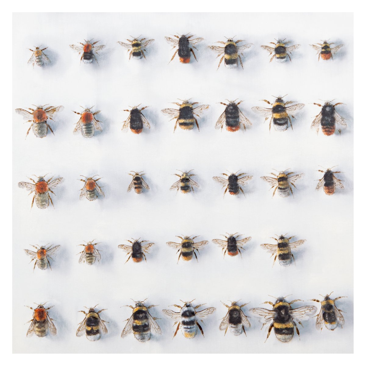 Andrew Tyzack tweet media