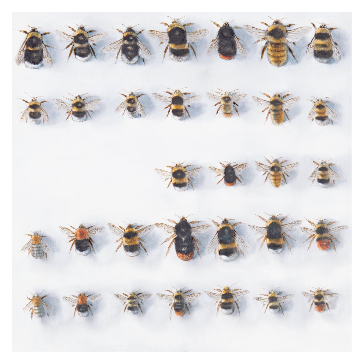 Andrew Tyzack tweet media