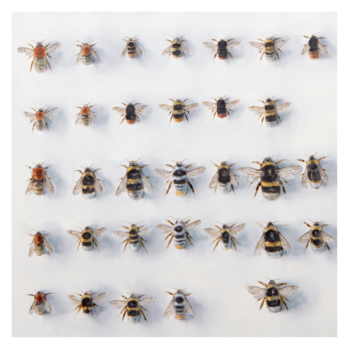 Andrew Tyzack tweet media