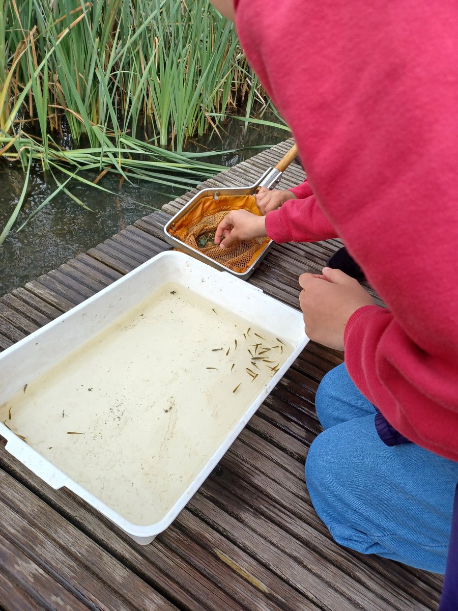 Mrs Toye tweet media