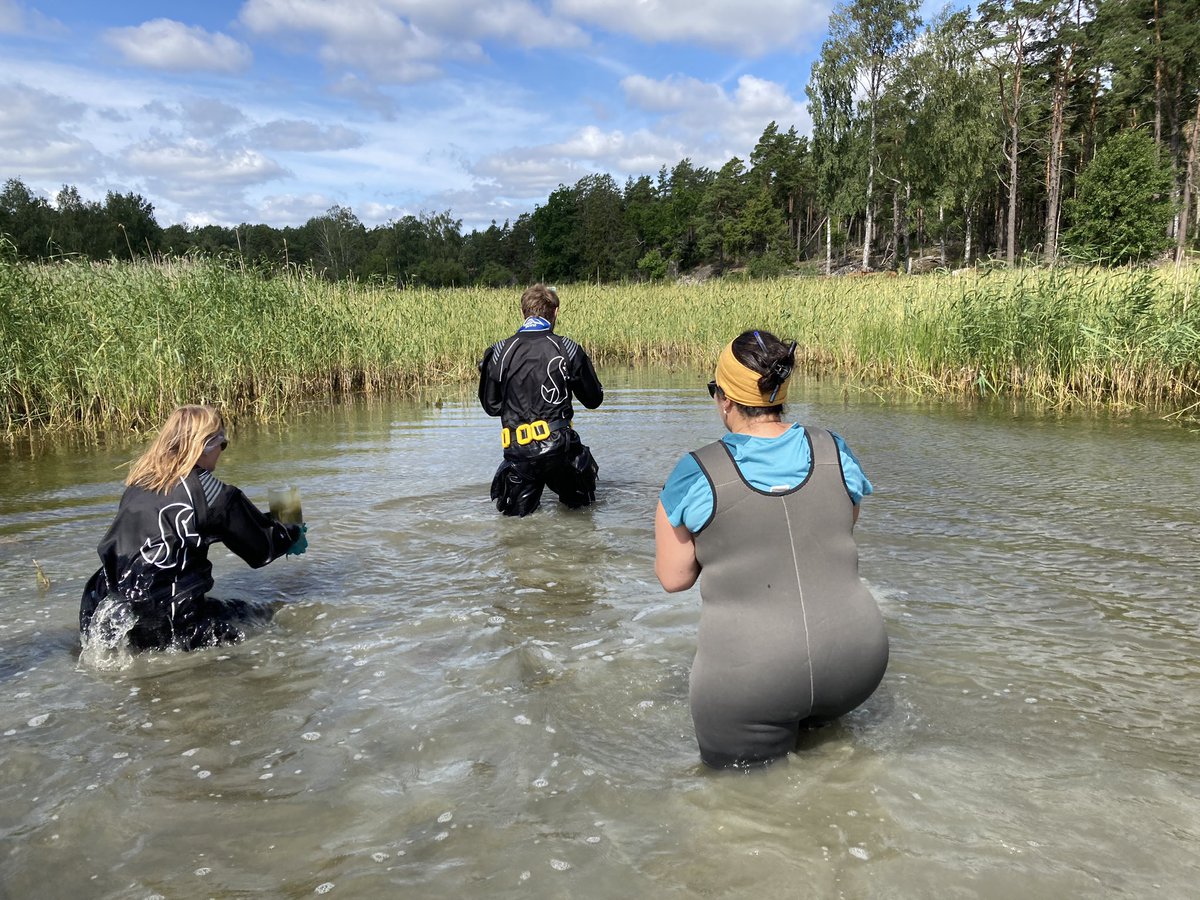 Michaela Lundell tweet media