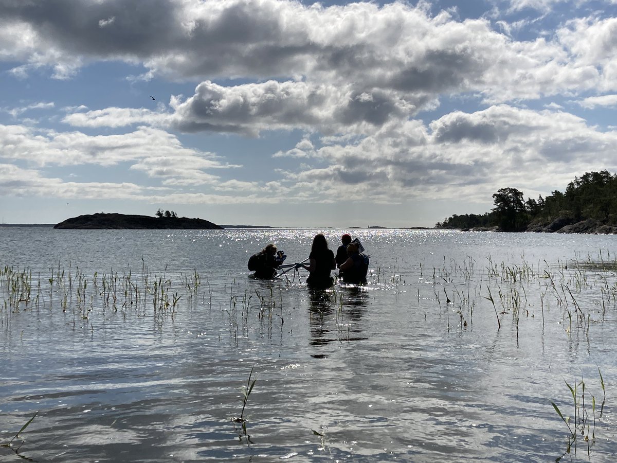 Michaela Lundell tweet media