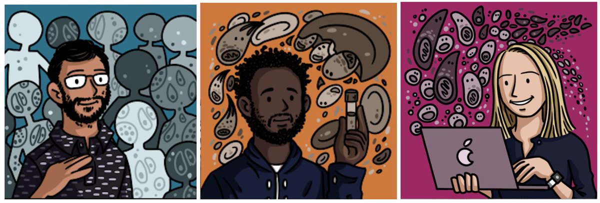 finally &amp; most importantly, HUGE congrats to @SunilDogga, <a href="/JC_rop/">Dr. Arap Rop</a>, and <a href="/julicudini/">Dr. Juli Cudini</a> in collaboration with <a href="/djimdeab/">Abdoulaye DJIMDE</a>, <a href="/tonidara/">Antoine Dara, PharmD, PhD</a>, <a href="/dinkorma1/">dinkorma</a>, <a href="/EliasBe28298795/">Elias Farr</a>, and @amtalman on this important new chapter of the #MalariaCellAtlas. (&amp; thanks to @petrathepostdoc for the drawings). 9/9