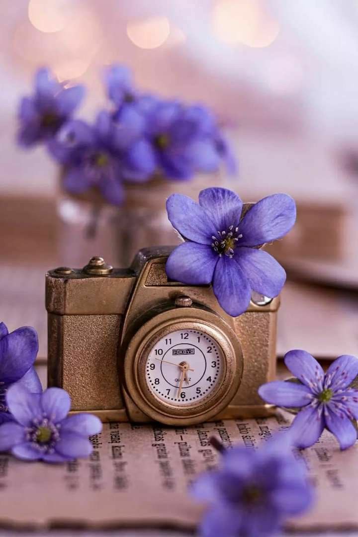 windBnitmywings's tweet photo. Taking a breather &amp; stopping by to say hi. Hope everyone has been well. Always make time for urself , no matter how crazy it gets.💙
📷:Pinterest https://t.co/XLab2maQqS