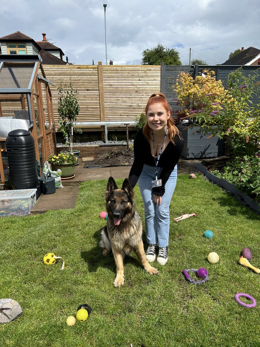 Can you even call this work?! The animal stories are always my favourite🙈 This is Cleo! A super dog from Stoke on Trent with some tricks up her sleeve! Always a great day with @BBCRadioStoke