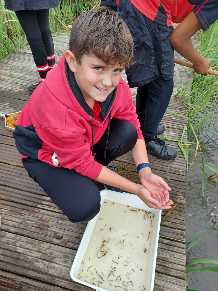 Mrs Toye tweet media