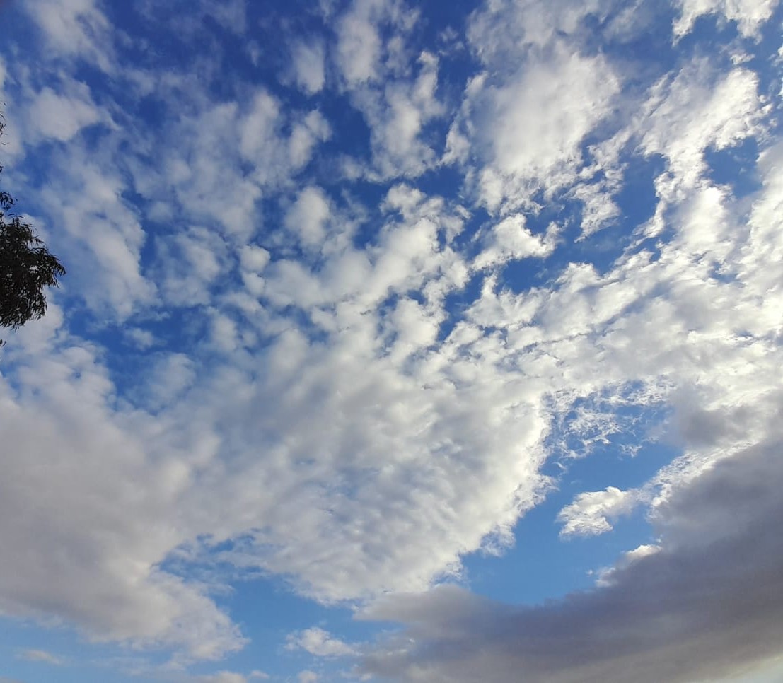 "ليس البقاء لمن سَبَق، إنَّما البقاء لمن أُستؤمن فصَدق".