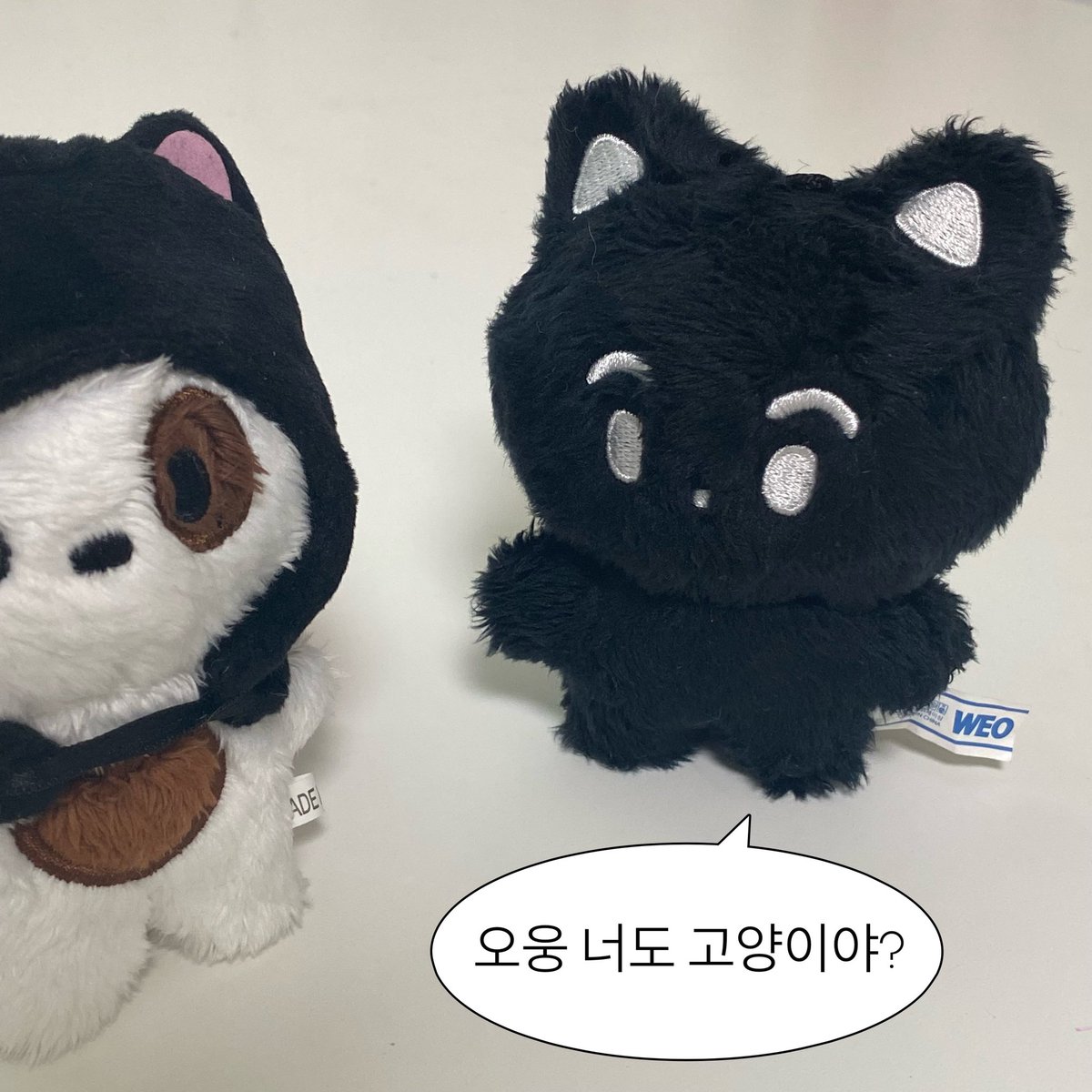 화채 tweet media