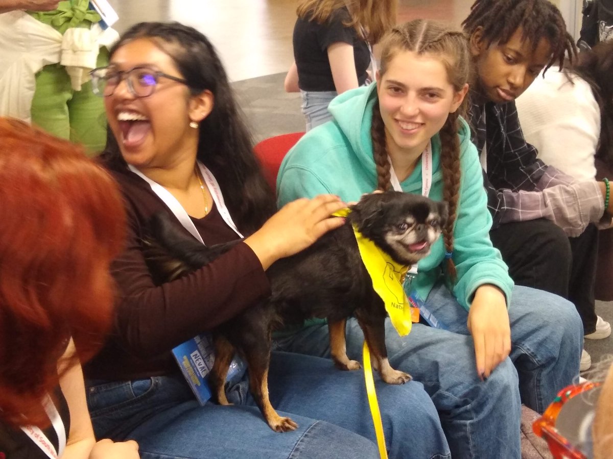 uswlibrary's tweet photo. Thanks to Therapy Dogs Nationwide for bringing in their furry stress relievers! All the students (and a few staff) had a wonderful time getting to know Dot, Alfie, Tyler, and Angel. Look out for more sessions in the new term #TherapyDogs #TherapyDogsUK #DogsInTheLibrary https://t.co/14pzDTtfqk