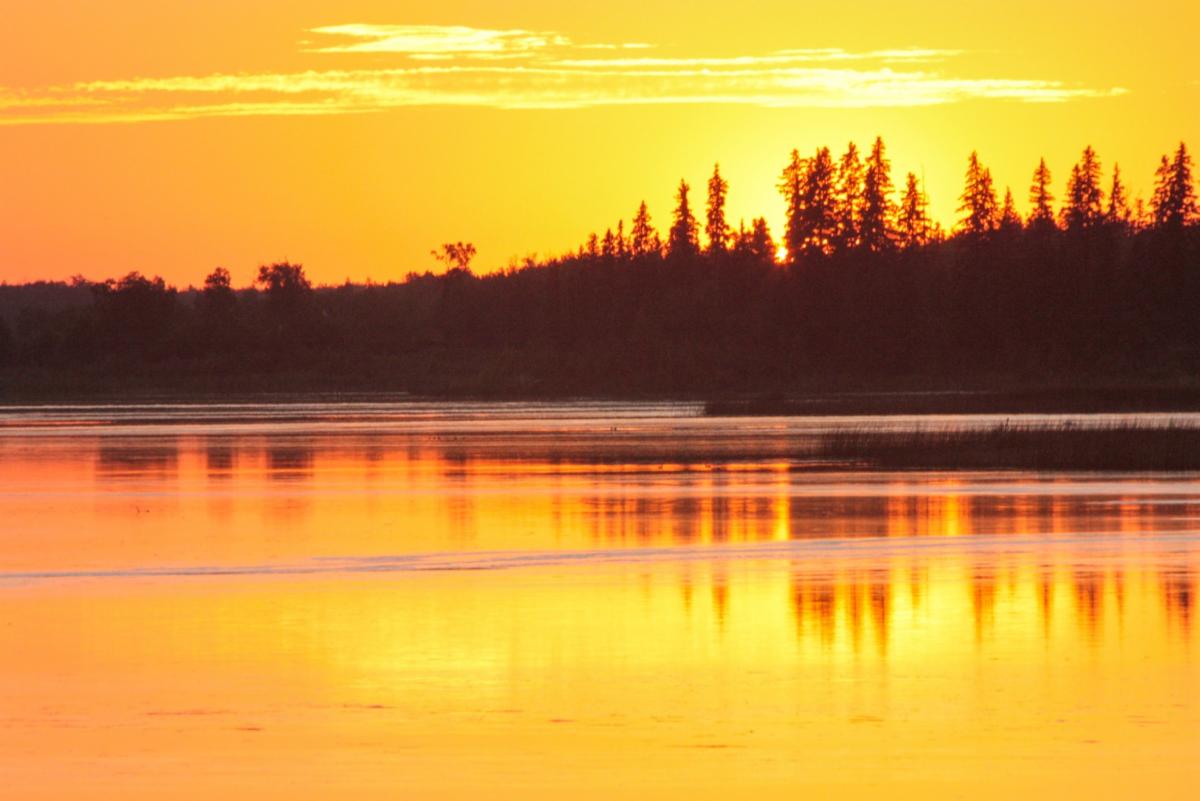 "I will love the light for it shows me the way, yet I will endure the darkness because it shows me the stars." ~ Og Mandino.  
We consider the stars in today's My Daily Minute. conta.cc/44q27Cc
conta.cc/46Na3zb