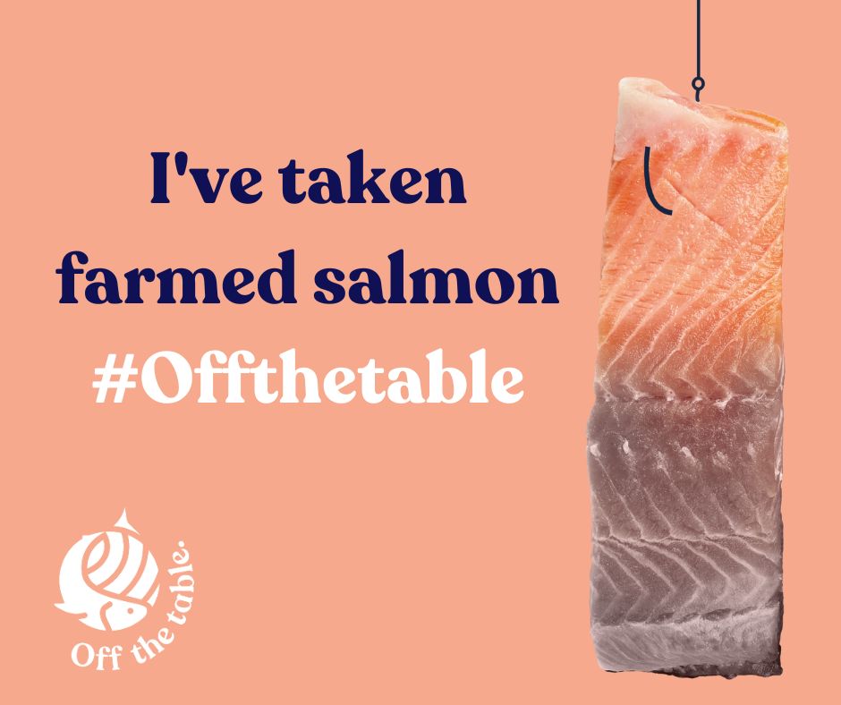 WildFish tweet media