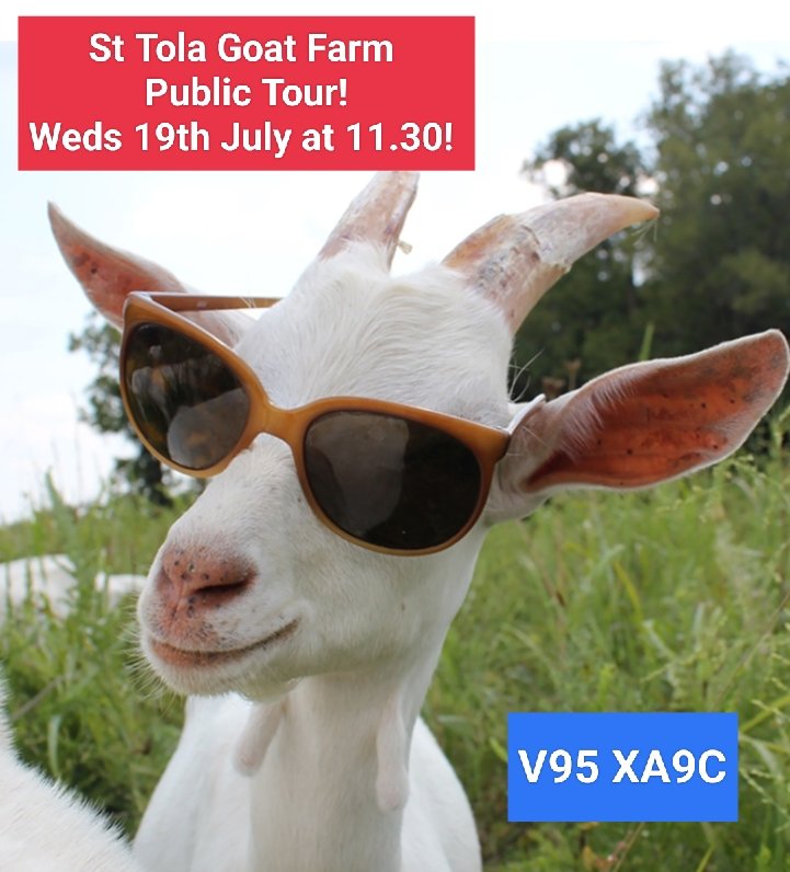 StTolaCheese's tweet photo. St Tola Public Tour this Wednesday 19th July at 11.30! 
Find out about our farming system, get up close to our  goats + taste all our yummy cheese! 
Gates open at 11.15, €15 adults, €8 kids, €35 family tickets EIRCODE V95 XA9C 

#goats #vacation #Ireland #goatcheese #cheese https://t.co/jGkJOBjUfD