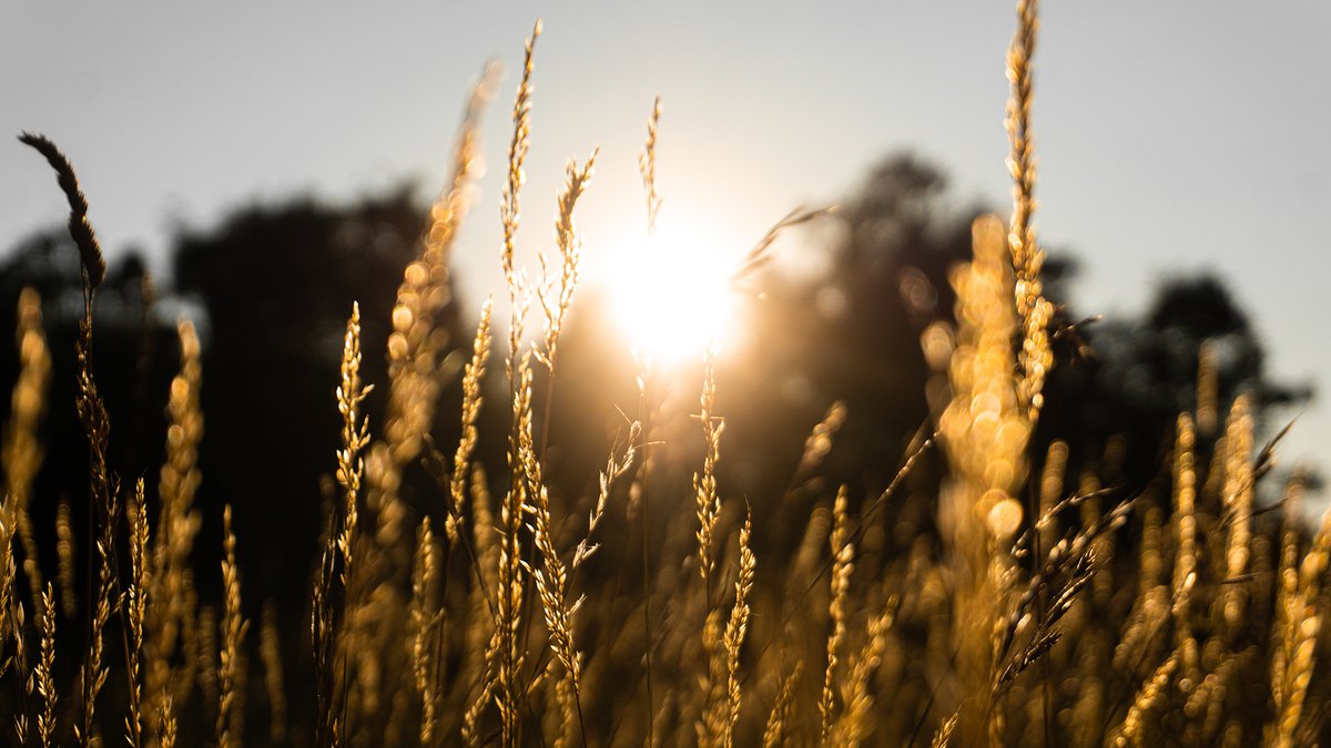 Summer vibes.
#photography #summer #sunset #landscape