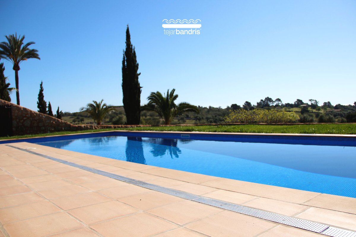 Tejar Bandris tweet media