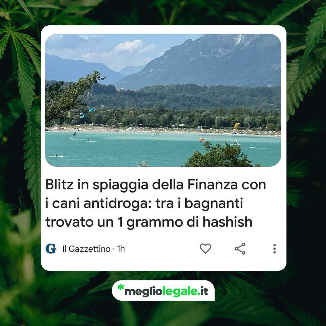 🎪 Signori e signore, ecco a voi la “Guerra alla droga”.

🤡 Questa notte dormiremo tutti più tranquilli…