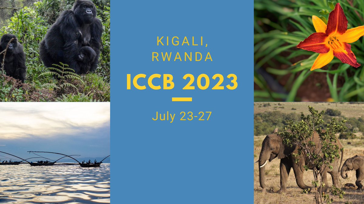 ICCB (@iccb2025) on Twitter photo There is still a lack of inclusion & equity in #conservation. At #ICCB2023 we are working to address the inclusion & equity concerns. Attend the session “What conservation biology may lose by not having equitable and fair collaborations"
Wed, July 26: 1:30- 3:00
#ICCB2023equity There is still a lack of inclusion & equity in #conservation. At #ICCB2023 we are working to address the inclusion & equity concerns. Attend the session “What conservation biology may lose by not having equitable and fair collaborations"
Wed, July 26: 1:30- 3:00
#ICCB2023equity