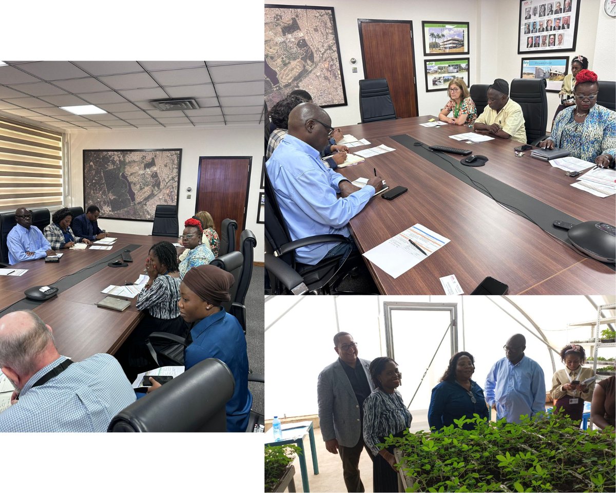 Taat_Africa's tweet image. 🌍🤝 A stimulating visit by the #Angolan Delegation is currently underway @IITA_CGIAR HQ. 🤝 They had insightful meetings with Senior Heads, such as Hilde Koper, Chrys Akem, and Michel Abberton, exploring various topics. The @IITADGOffice hosted a crucial discussion on the