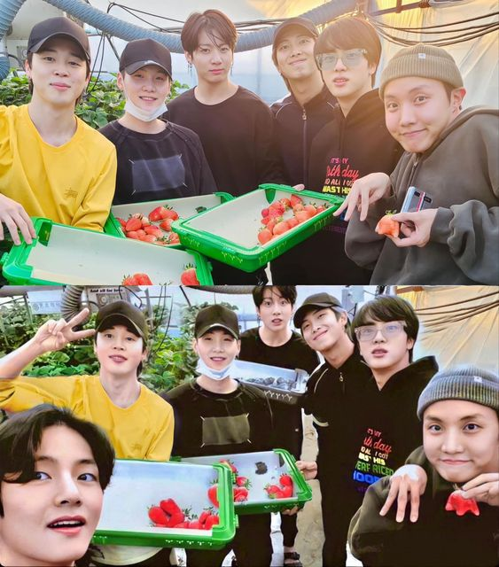 HOPEPlCS's tweet photo. do you remember when... 🍓 https://t.co/6Fn1zak2oK