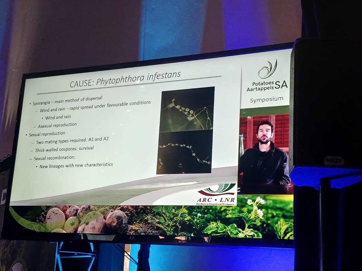 ARCSouthAfrica's tweet photo. Dr Chris Spies (ARC-PHP) discuss P. infestans populations in South Africa. P. infestans is the causal agent of potato late blight. #potatoesSA https://t.co/snsqPR0IMI