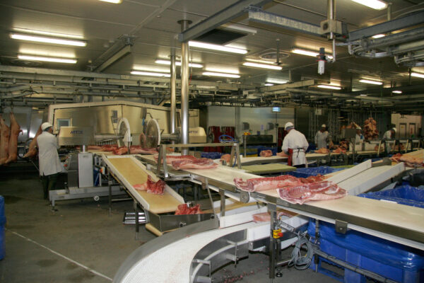 InspiraFarms's tweet photo. Get a complete solution for animal protein treatment with a modular slaughterhouse with slaughtering spaces, chilling and holding cold rooms, dispatch halls, blast freezing tunnels, freezers and freezing rooms today. Get a quote today! https://t.co/XowPdixA5j https://t.co/y4jyQXSmit
