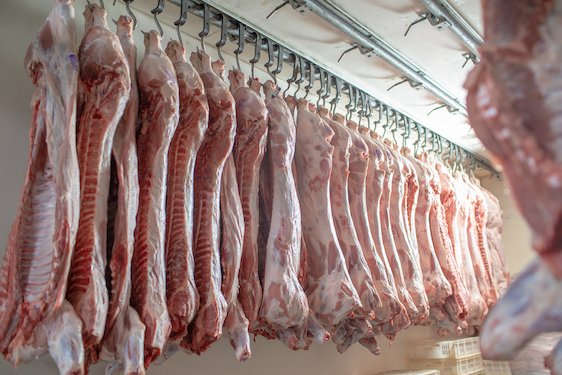 InspiraFarms's tweet photo. Get a complete solution for animal protein treatment with a modular slaughterhouse with slaughtering spaces, chilling and holding cold rooms, dispatch halls, blast freezing tunnels, freezers and freezing rooms today. Get a quote today! https://t.co/XowPdixA5j https://t.co/y4jyQXSmit