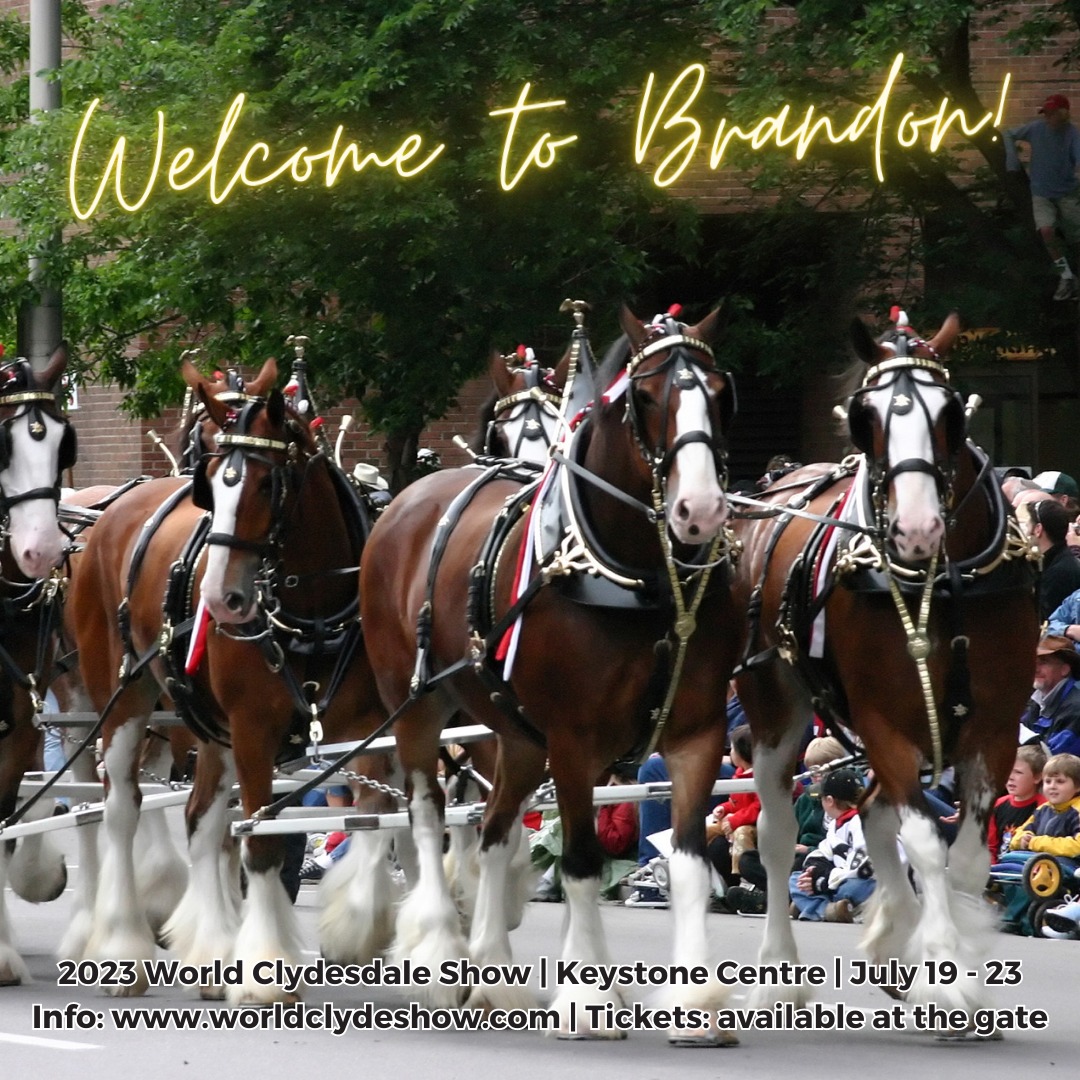 ThinkBrandon1st's tweet photo. Welcome to Brandon, everybody participating & attending the World Clydesdale Show this week at the @Keystone_Centre!
Tickets available to purchase at the door.
Wed, July 19th, there will be FREE entry into the show!
https://t.co/F79YyDcf0k
#BrandonBringsYouBack #EventsBDN https://t.co/wsOyd47Dru