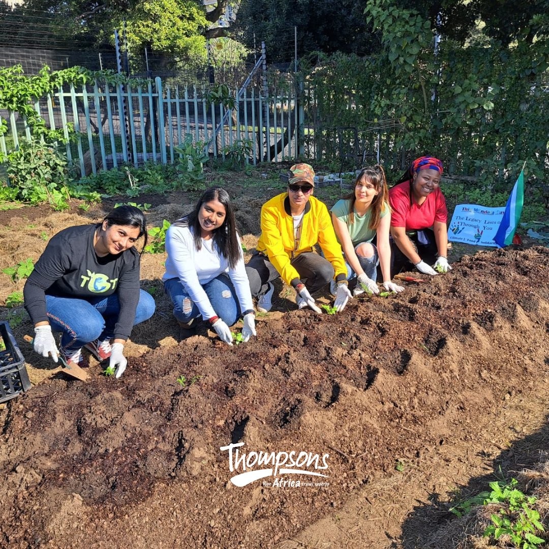 ThompsonsAfrica's tweet image. The theme for Mandela Day this year is 'Climate, food and solidarity'. What better way to give back than support local! Read more about this wonderful initiative, Sisonke Durban Garden: bit.ly/3JYUvhZ

#sisonkedurbangarden #nelsonmandeladay #treadright #thompsonsafrica