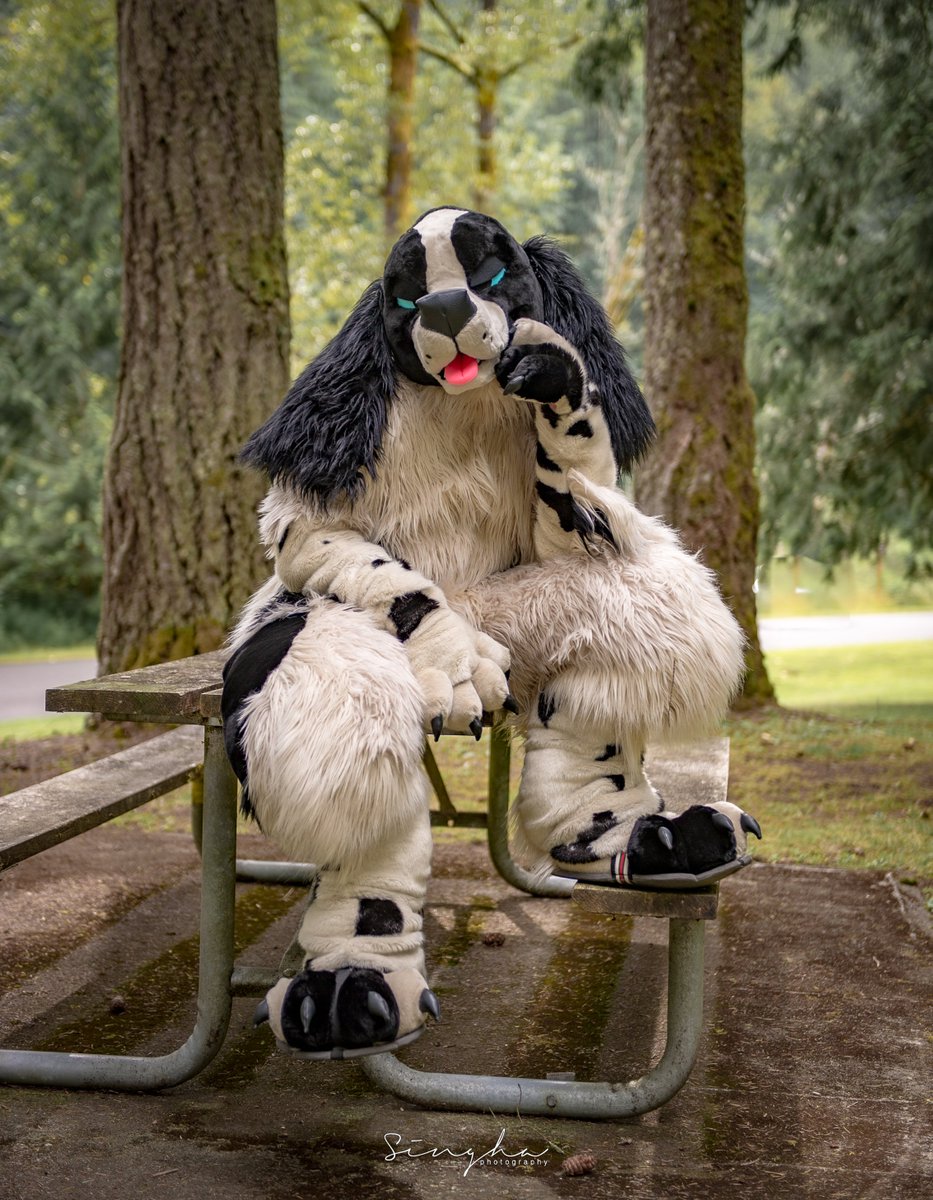 Softness 😌 tweet media