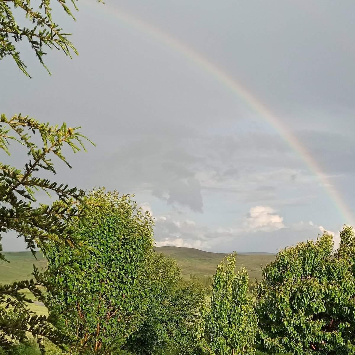 Her gök kuşağı yeni bir başlangıç demektir. 
Hava kararır şimşekler çakar ve sonra tüm pisliği temizlercesine yagmuruyla yıkar her yeri. Sonra da der ki "Al sana tertemiz bir sayfa ve bu da hayatındaki yeni renkler" 
-Siyah beyaz bir hayata alışma🍀