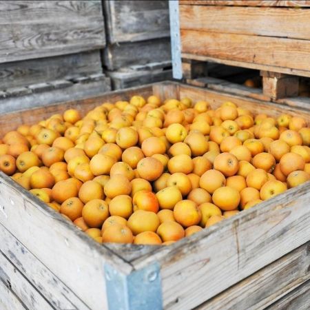 Alex Charrington tweet media