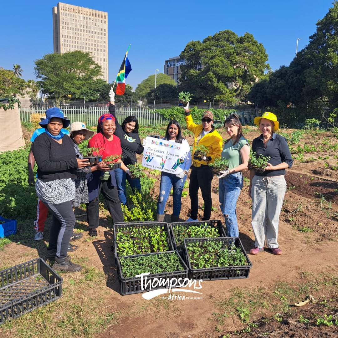 ThompsonsAfrica's tweet image. The theme for Mandela Day this year is 'Climate, food and solidarity'. What better way to give back than support local! Read more about this wonderful initiative, Sisonke Durban Garden: bit.ly/3JYUvhZ

#sisonkedurbangarden #nelsonmandeladay #treadright #thompsonsafrica